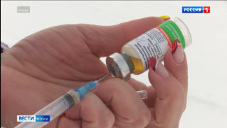 Ветеринары из Коми прививают в тундре оленей от сибирской язвы