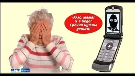 Челябинцев отправили в колонию за обман пенсионеров из Коми на 1,6 миллиона рублей
