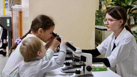 В Сыктывкаре завершена реализация нескольких народных проектов в сфере образования