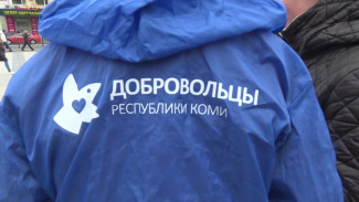 Более 800 жителей Коми захотели стать участниками и волонтёрами Всемирного фестиваля молодёжи