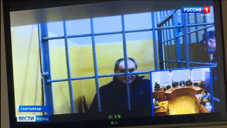 Виктор Половников приговорён к девяти годам лишения свободы