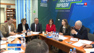 В Штабе общественной поддержки Ростислава Гольдштейна обсудили развитие коми медиасферы