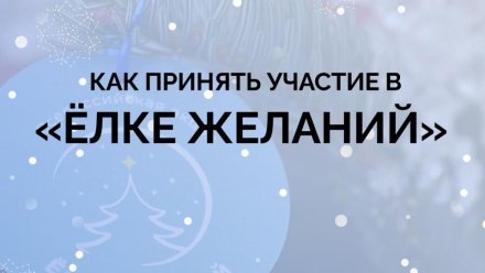 Республика Коми присоединилась во всероссийской акции «Ёлка желаний»