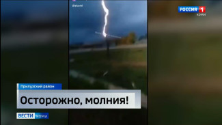 Молния ударила в нескольких метрах от очевидца в селе Спаспорубе