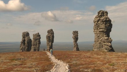 В Печоро-Илычском заповеднике ищут волонтёров