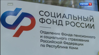 С начала 2024 года Отделение СФР по Республике Коми назначило единое пособие 8 тысячам семей и 238 беременным женщинам