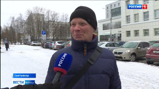 Опрос: какая ёлка лучше, настоящая или искусственная?