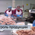 В партии сырой продукции птицефабрики «Зеленецкая» обнаружили бактерии сальмонеллы