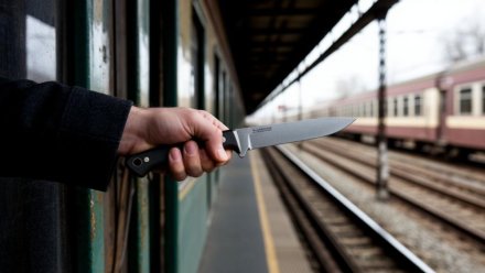 В Княжпогостском районе вахтовик угрожал ножом пассажирам и начальнику поезда