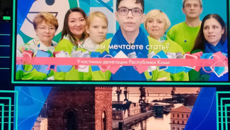 В Национальном чемпионате «Абилимпикс» приняли участие два конкурсанта из Республики Коми