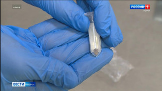 В Коми усилят борьбу с клещами