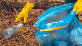 Жителей Республики Коми приглашают к участию в конкурсе волонтёрских уборок "Зов природы"