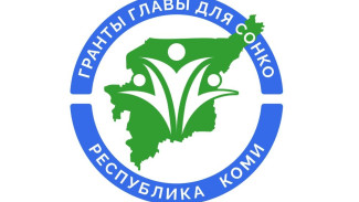 Республике Коми предоставлен грант Президента России в размере 25,5 млн рублей на поддержку СОНКО