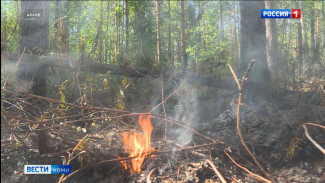 С сегодняшнего дня в лесах Коми вводится самый высокий класс пожарной опасности