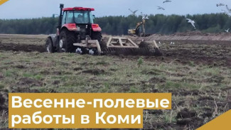 Хозяйства южных и центральных районов Коми готовы реализовать часть запасов кормов для поддержки аграриев северных районов республики