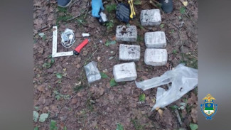 Полиция Коми изъяла у двух сбытчиков 3 кг гашиша и ещё 2,5 кг дурмана из 28 сделанных ими схронов
