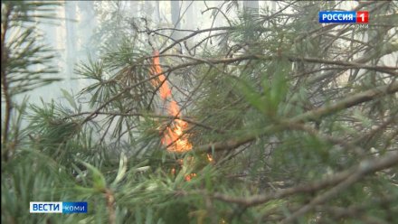 В Коми потушили первый в этом сезоне лесной пожар