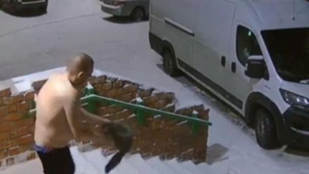 В Ухте вынесен приговор мужчине за жестокое убийство кошки