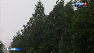 Синоптики предупреждают о сильном ветре