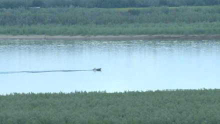 Как спасти тонущего человека: правила первой помощи