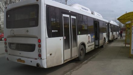 На эжвинских маршрутах №№ 54, 18 появятся дополнительные автобусы