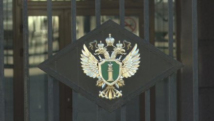 Прокуратура Ижемского района направила в суд уголовное дело о ДТП, в котором пострадал 9-летний мальчик