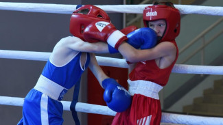 В Усогорске стартуют соревнования по боксу среди юношей и девушек