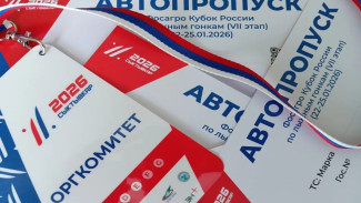 Во время Кубка России на РЛК имени Р.Сметаниной усилят меры безопасности