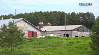 Сельхозпредприятия Коми активно готовятся к зиме – заготавливают корма