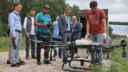 Минсельхоз Коми применит опыт Московской области в борьбе с борщевиком