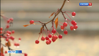 О погоде на предстоящие выходные