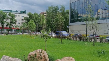 День России жители Коми отметят на спортивных площадках