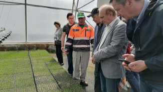 Представители лесопромышленного комплекса со всей России едут в Сыктывкар на форум