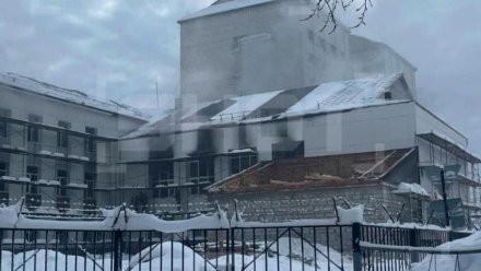 МВД по Республике Коми проводится проверка ведомственном учебном заведении по факту возгорания крыши