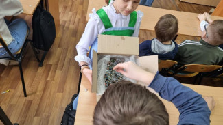 Ухтинские школьники рассказали Региональному оператору Севера об экопривычках в своих семьях