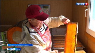 Пасечники впервые в этом году собрали мёд