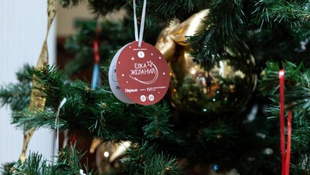 Ростислав Гольдштейн исполнит новогодние мечты детей 