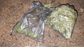 В Сосногорске задержали подозреваемого в покушении на сбыт крупной партии конопли