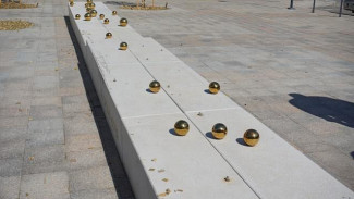 «Яблоневая аллея» под надзором депутатов и общественников: представители администрации рассказали об озеленении и содержании общественного пространства