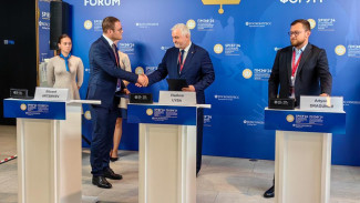 В Коми планируется строительство заводов по производству угольных брикетов и древесного угля