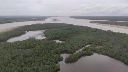 На Печоре будет возобновлён любительский вылов сёмги