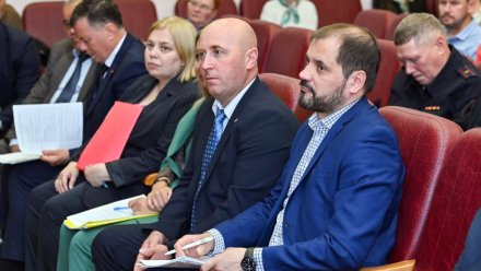 Ростислав Гольдштейн поручил Минсельхозу Коми перенять опыт Московской области в борьбе с борщевиком