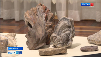 В Национальном музее Коми открылась выставка "Трансформация" 