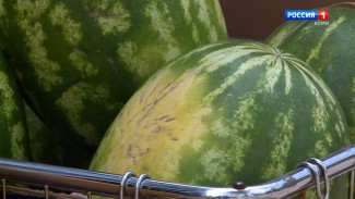 Врач рассказала, что делать при отравлении арбузом или дыней