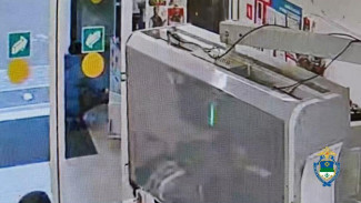 Сыктывкарка похитила чужие вещи из камеры хранения в магазине и стала фигуранткой уголовного дела