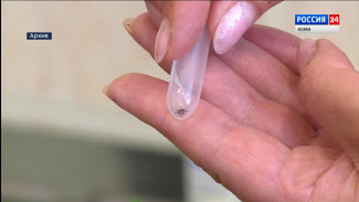 В Коми стартовал сезон клещей, несмотря на минусовые температуры