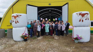 В Корткеросском районе построен телятник на 150 голов