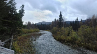 В Троицко-Печорском районе наказали браконьеров