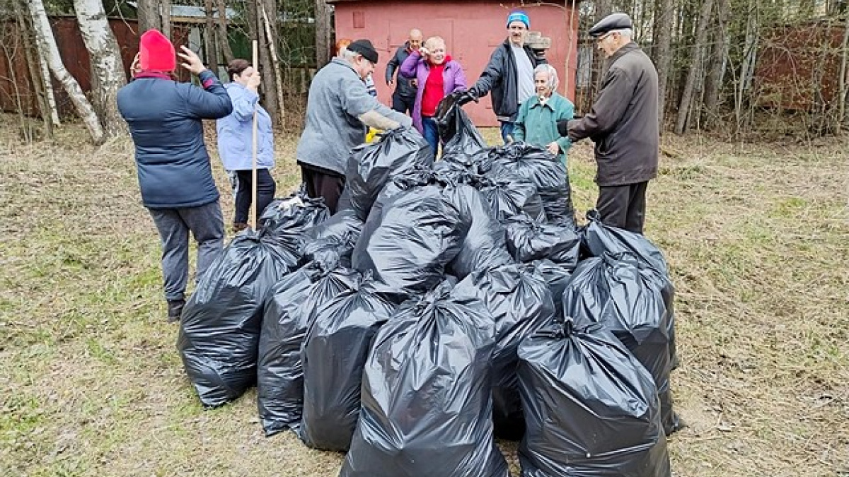 В Сыктывкаре пройдут общегородские субботники «Зеленая весна — 2024» – ГТРК  «Коми Гор»