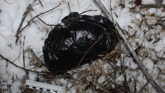 Мефедрон в особо крупном размере изъяли полицейские в Республике Коми